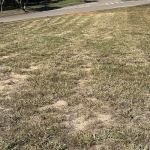 Terreno á venda 886m² | Cond. Vida Real em Itupeva