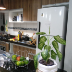 Apartamento á venda 54m² – Morada dos Pássaros